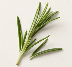 Rosemary Oil